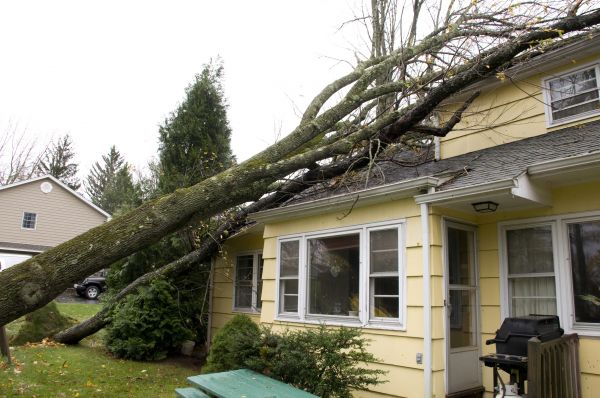 Cost of Hurricane Damage Repair in Lebanon